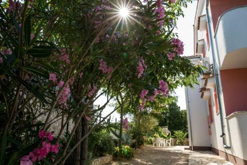 Hostal Guest House Kusen