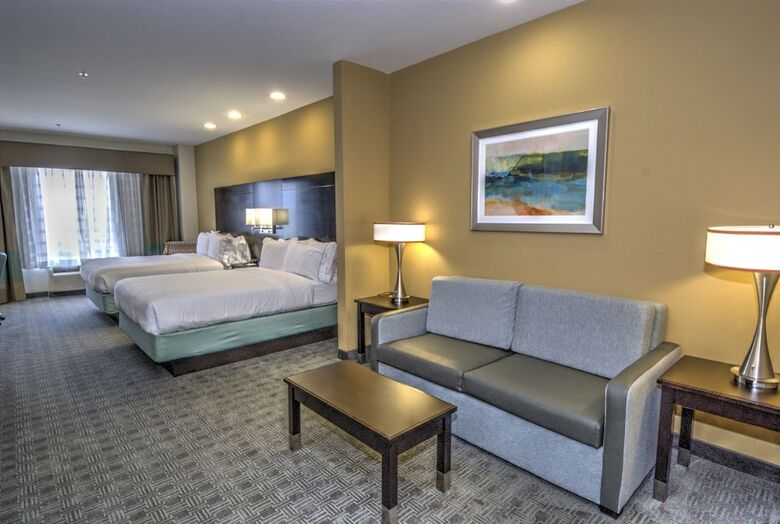 Hotel Holiday Inn Express & Suites Austin South