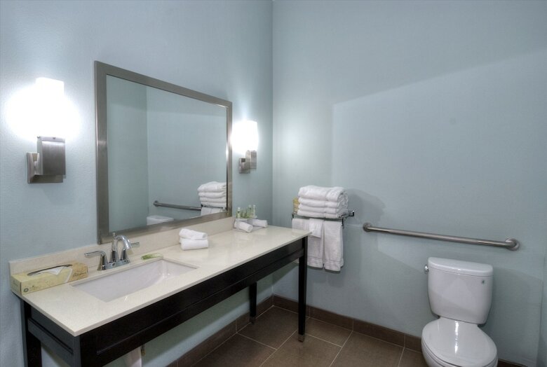 Hotel Holiday Inn Express & Suites Austin South
