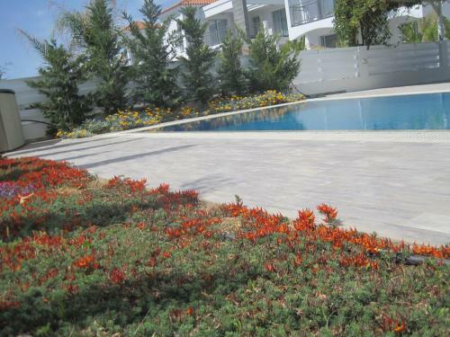 Polyxenia Isaak Pelagos Villa