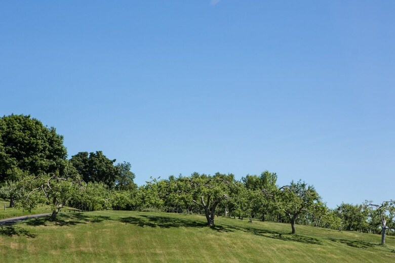 Hotel Manoir D'youville