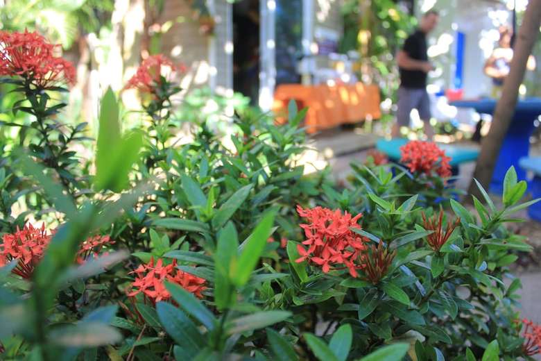 Hotel Jac� Lodge - Adults Only