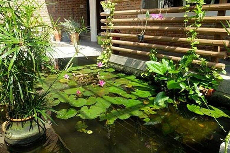 Hotel Rock Villa Hoi An