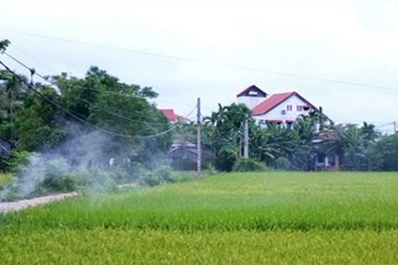 Hotel Rock Villa Hoi An