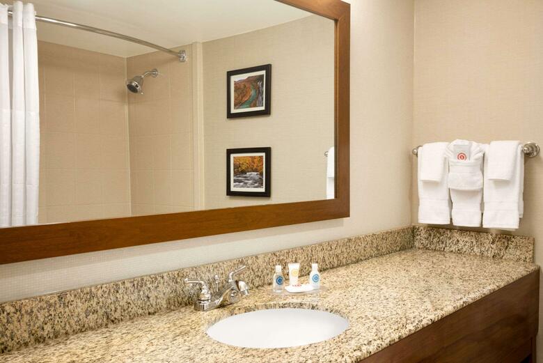 Hotel Comfort Inn & Suites Downtown