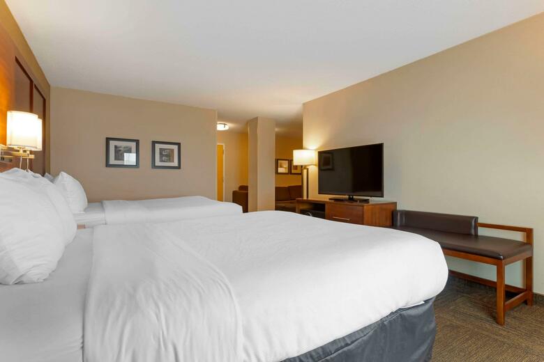 Hotel Comfort Inn & Suites Downtown