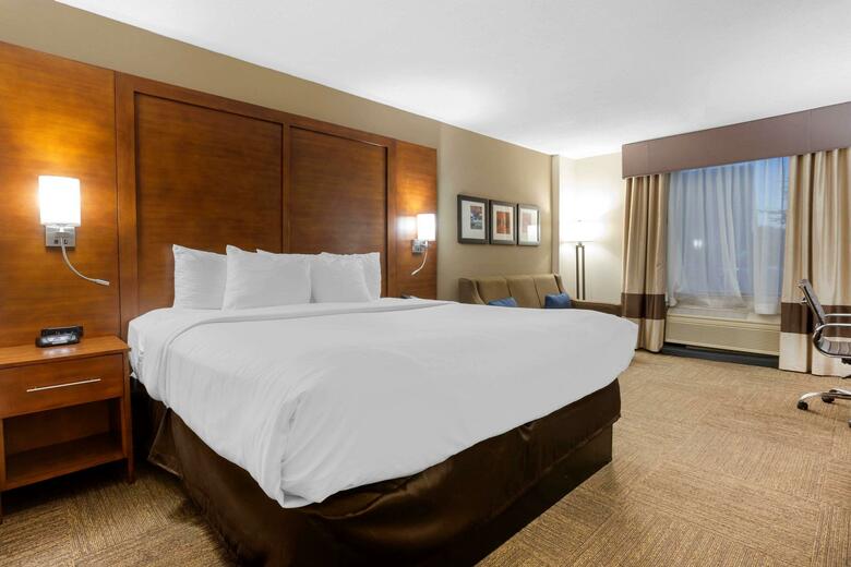Hotel Comfort Inn & Suites Downtown