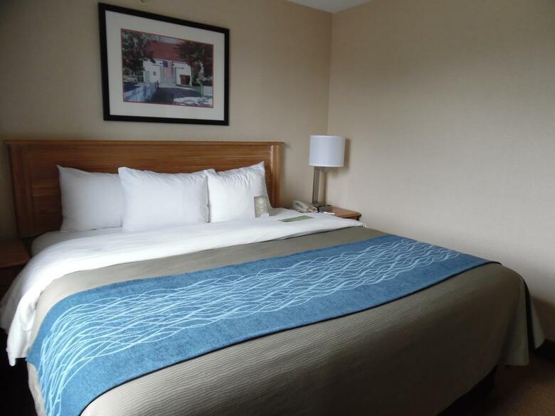 Hotel Comfort Inn & Suites Downtown
