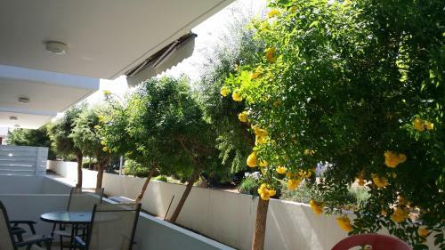 Apartment Sabina