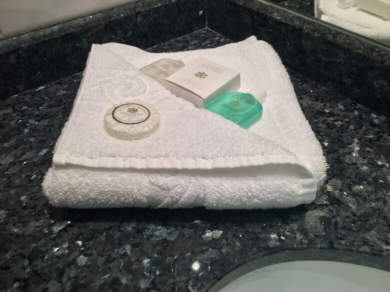 Arora Hotel Gatwick