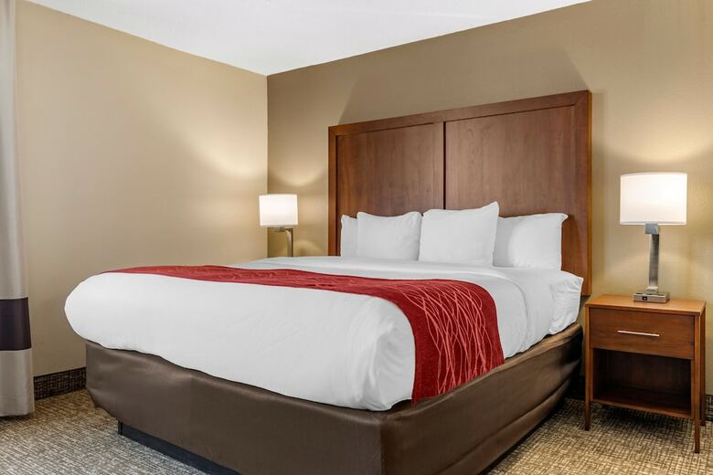 Hotel Comfort Inn University