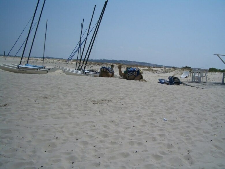 Hotel H�tel Sidi Salem