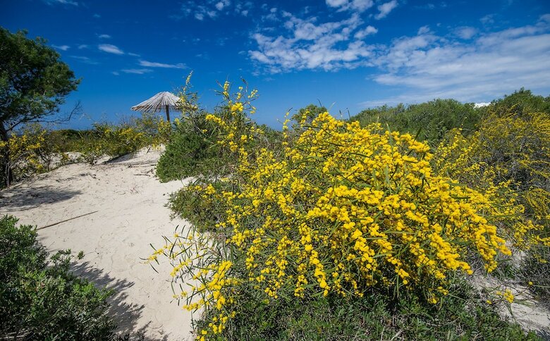 Ecoresort Le Siren� - Caroli Hotels