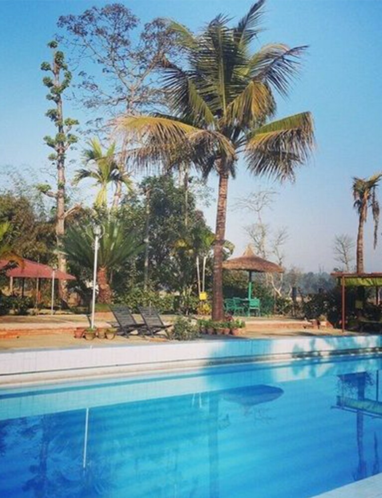 Hotel Baghmara Wildlife Resort