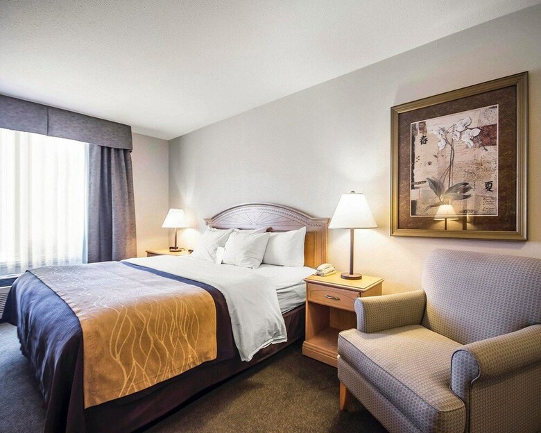 Hotel Comfort Inn & Suites