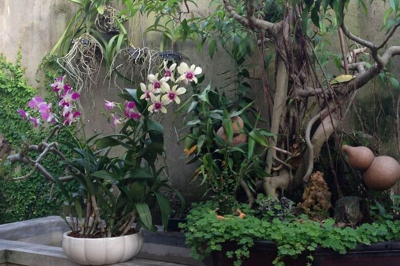 Hotel Starfruit Homestay Hoi An
