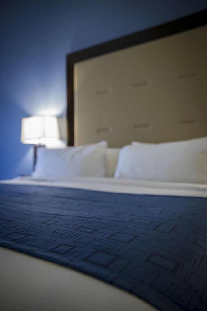 Hotel Holiday Inn Express & Suites Edwardsville