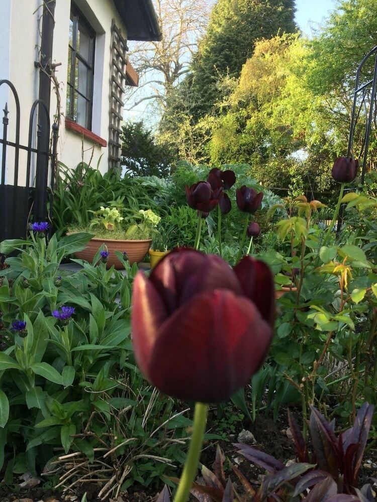 Woodacre B&B