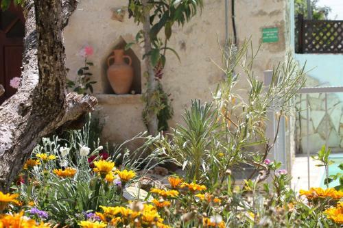 Rose Garden Villa Peristerona