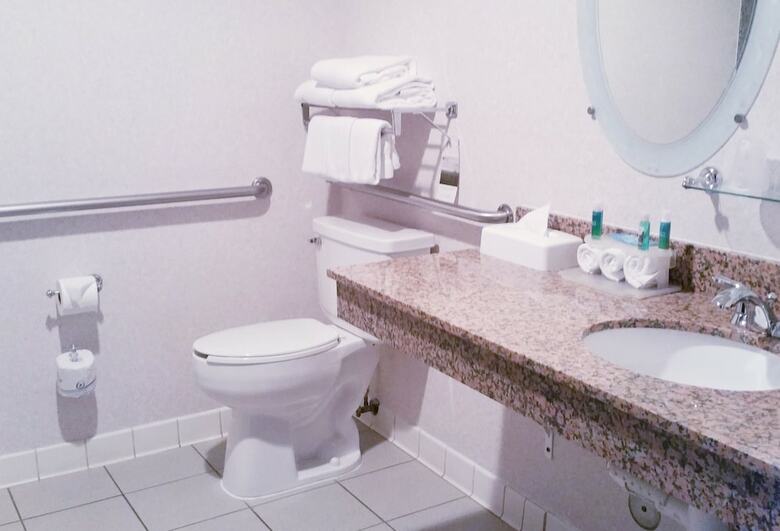 Hotel Holiday Inn Express Mesa Verde-cortez