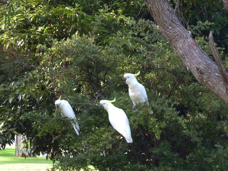 Motel Coachman's Eden