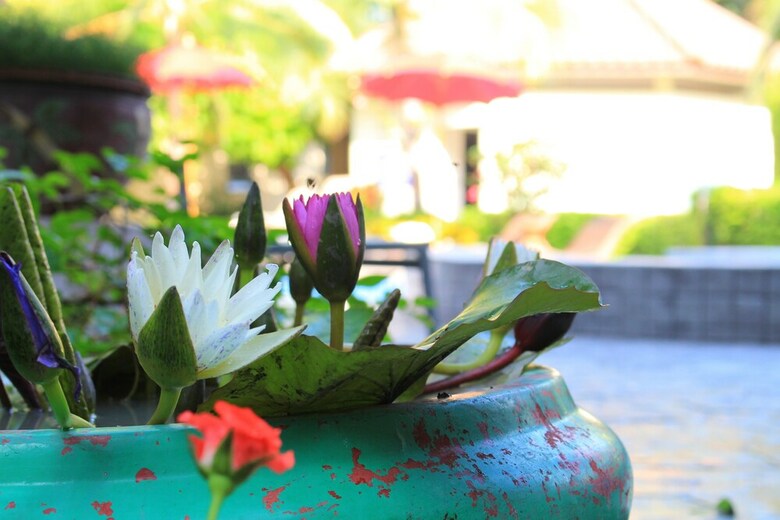 Apartamento The Beach Garden Resort