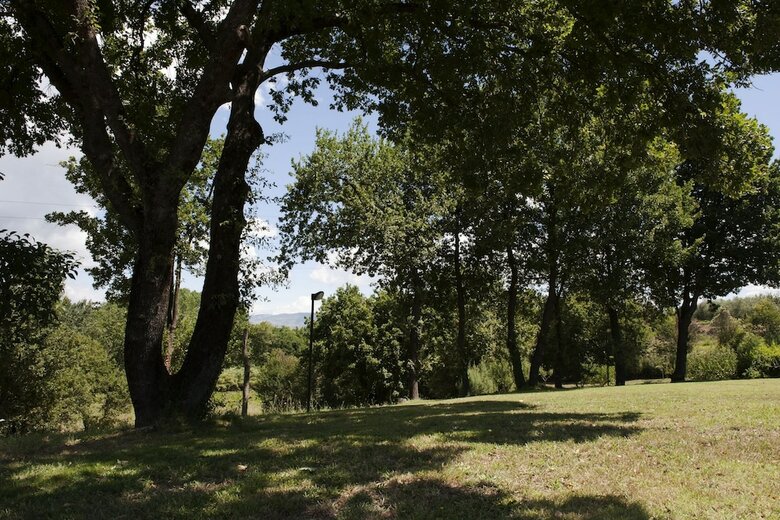 Apartamento Livingapple