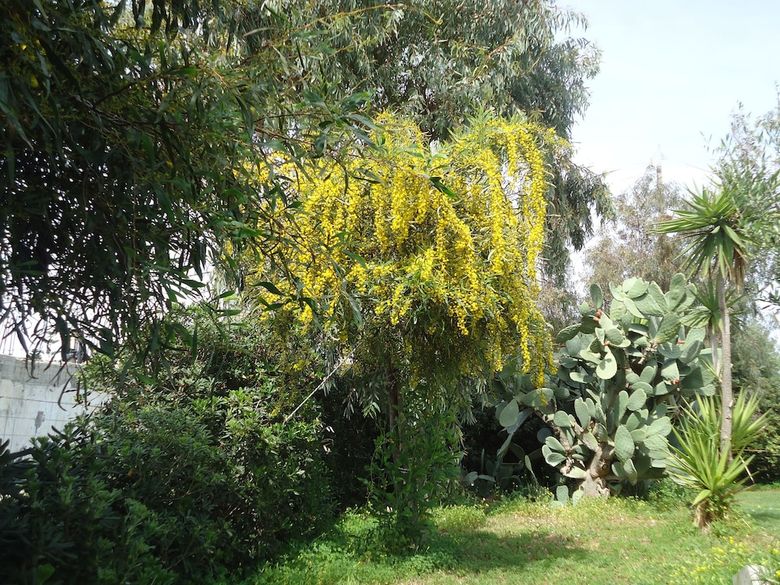 Aparthotel Portokali Apartments (12+)