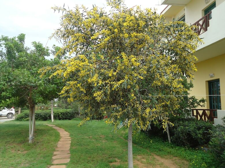 Aparthotel Portokali Apartments (12+)