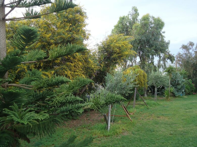 Aparthotel Portokali Apartments (12+)