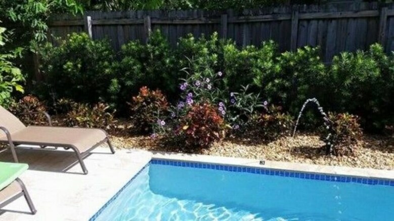 Bed & Breakfast Inn On The Drive Llc