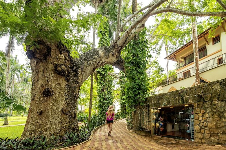 Apartamento Mayaland Hotel And Bungalows