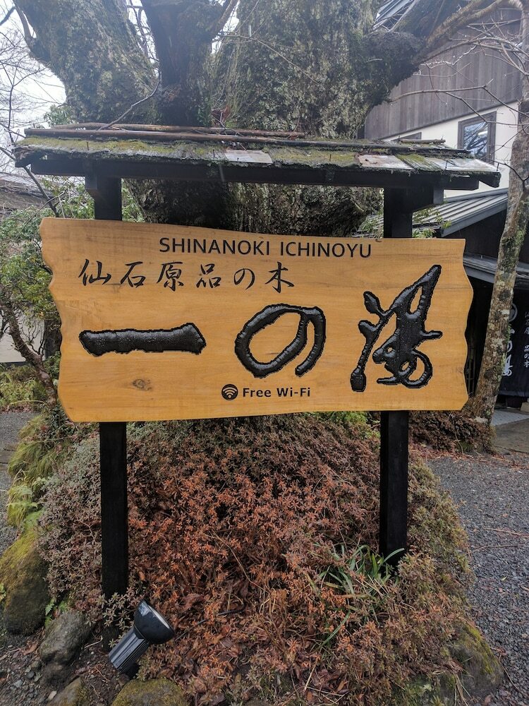 Hotel Shinanoki Ichinoyu