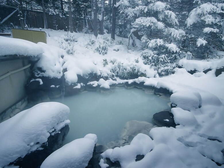 Okunikko Konishi Hotel