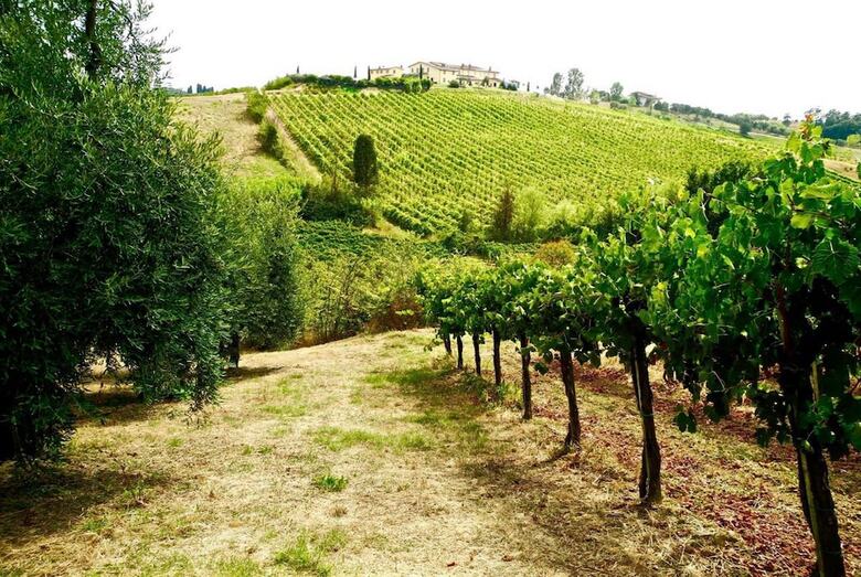 Agroturismo Agriturismo Musignano