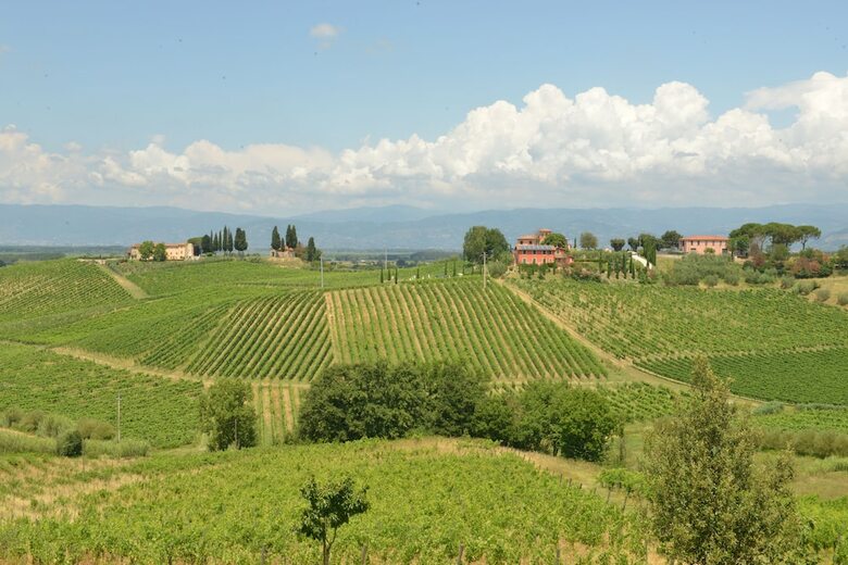 Agroturismo Agriturismo Musignano