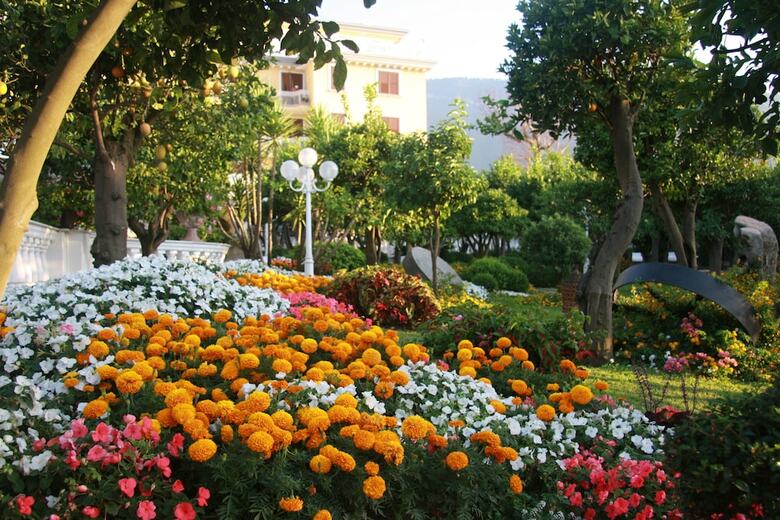 La Medusa Hotel- Dimora Di Charme