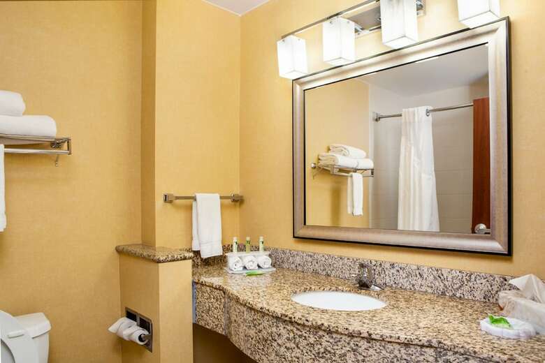 Hotel Holiday Inn Express & Suites Williamsburg