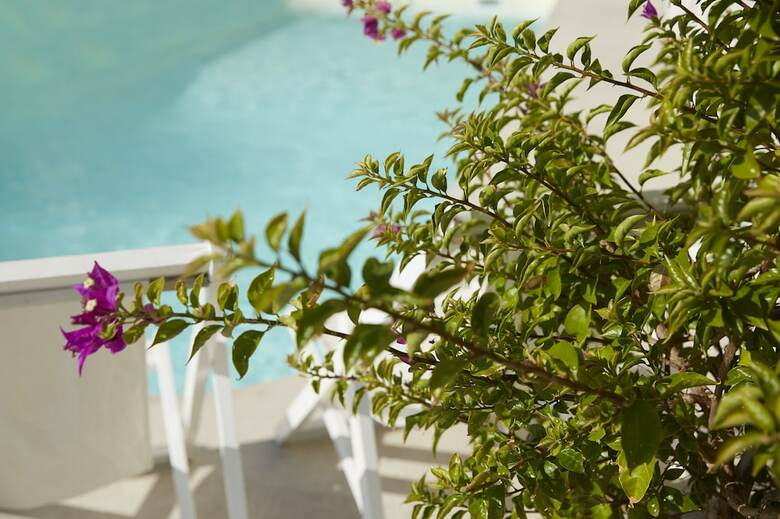 Mayor Mon Repos Palace ?art Hotel?-adults Only