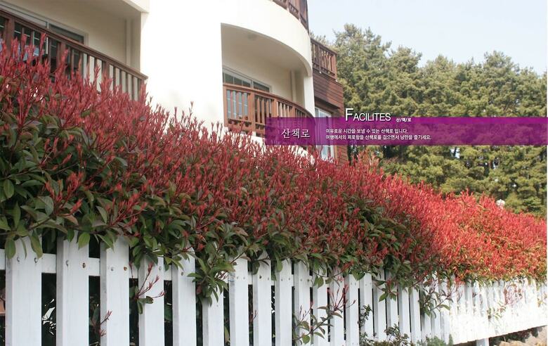 Hotel Fourseason Pension