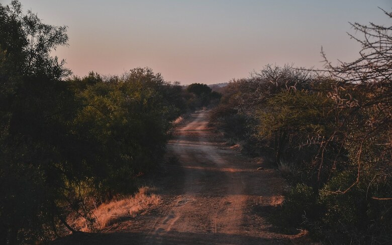 Posada Mziki Safari Lodge