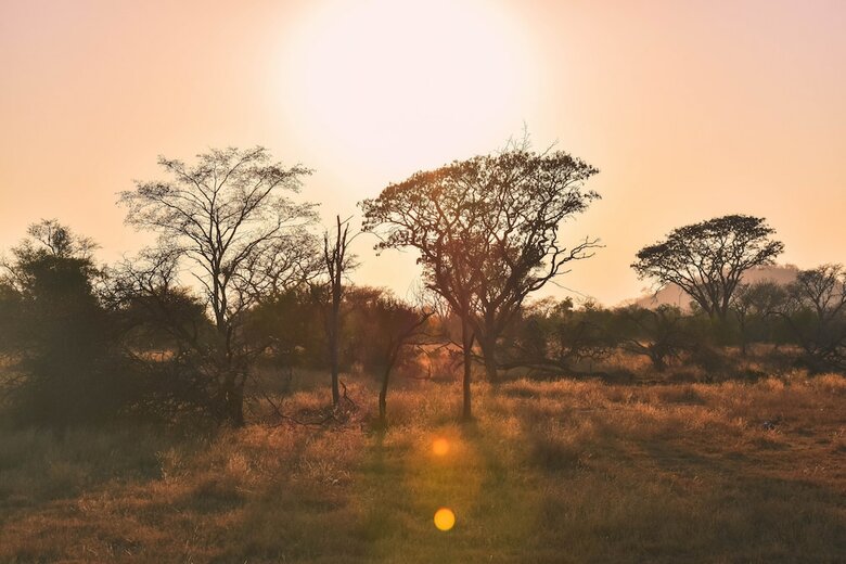 Posada Mziki Safari Lodge