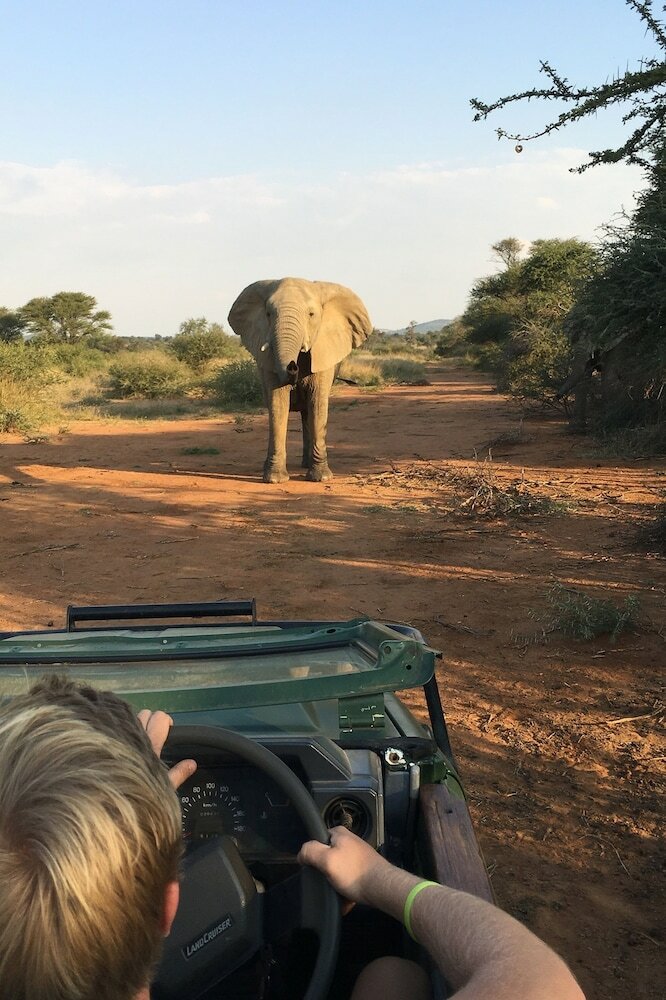 Posada Mziki Safari Lodge