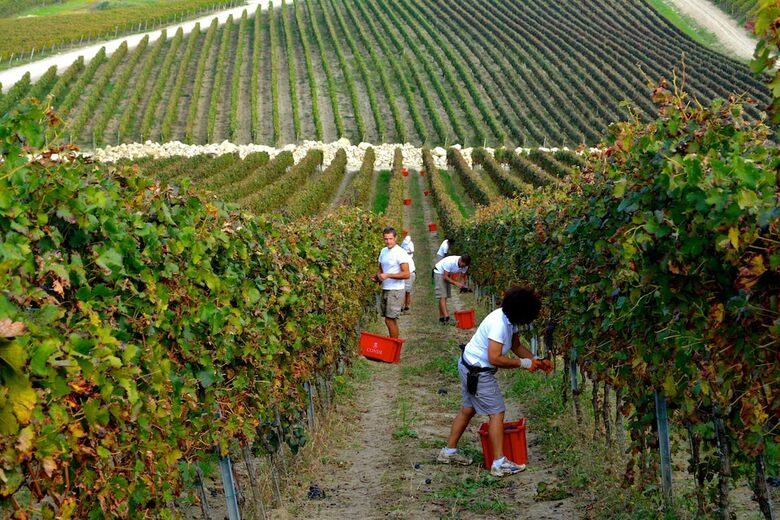 Posada Borgo Cond� Wine Resort