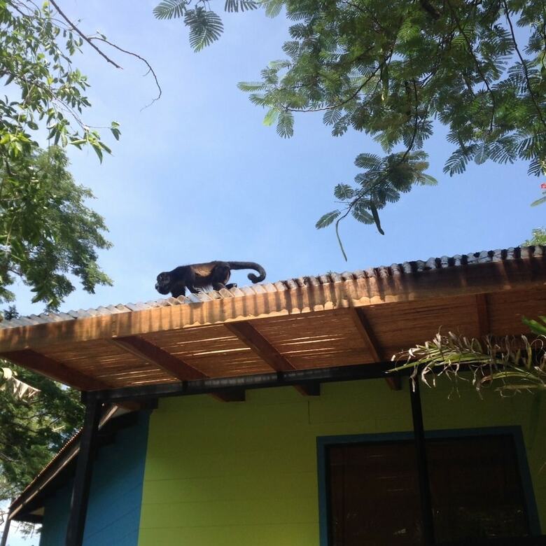 Hotel Tamarindo Village