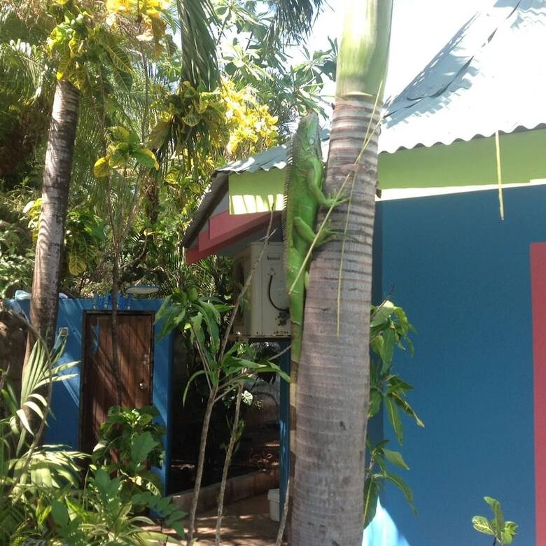 Hotel Tamarindo Village