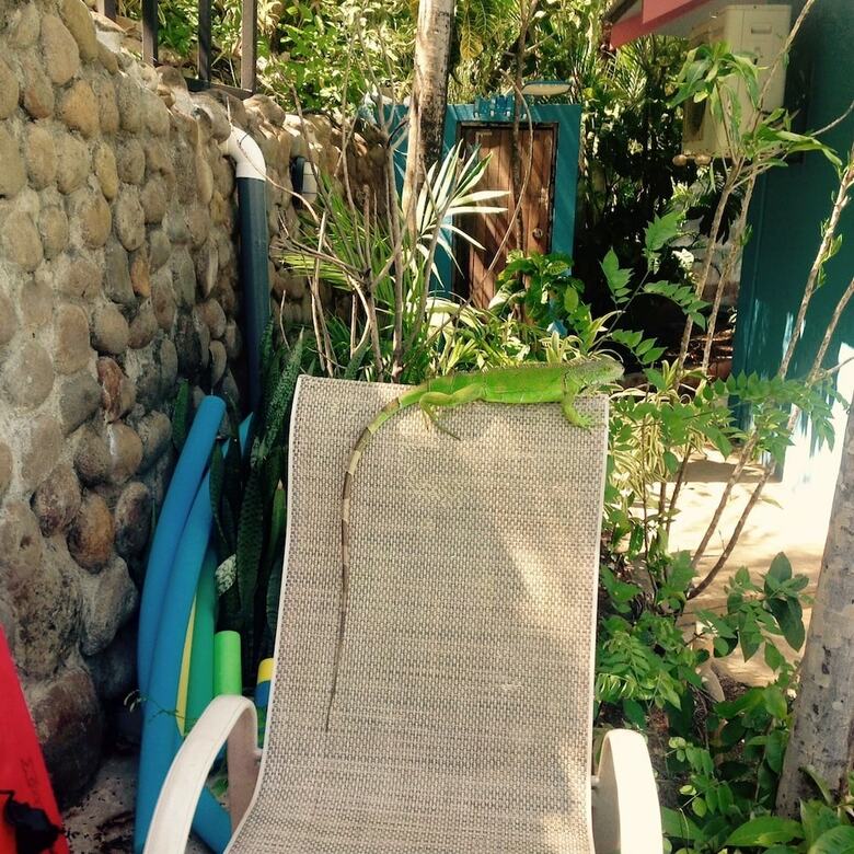 Hotel Tamarindo Village