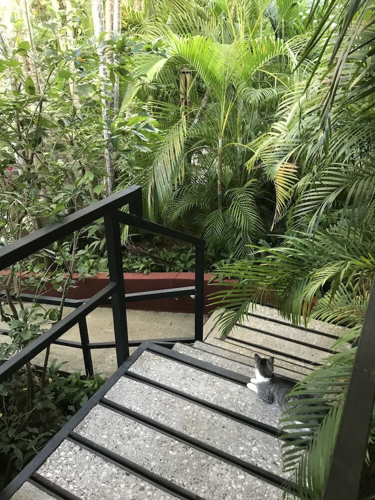 Hotel Tamarindo Village