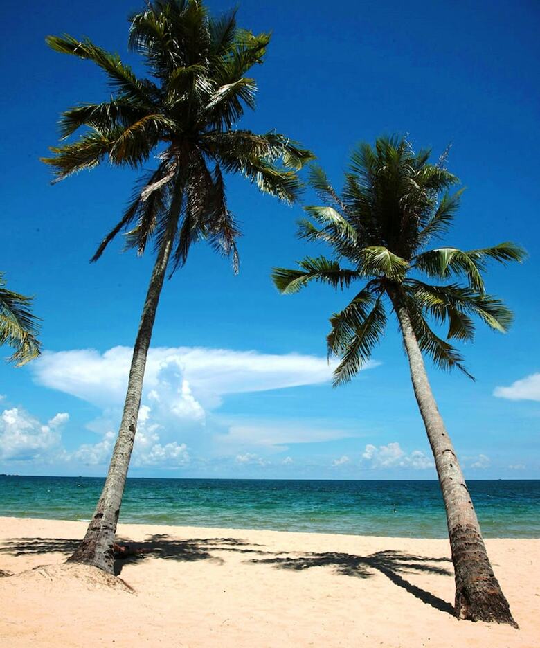 Hotel Coco Palm Beach Resort & Spa