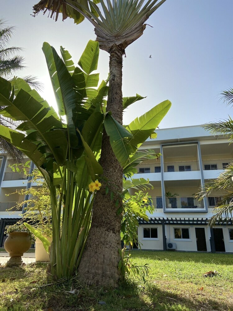 Apartamento Kololi Beach Club